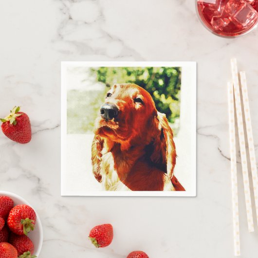 Precious Irish Setter Puppy Servetten (Insitu)