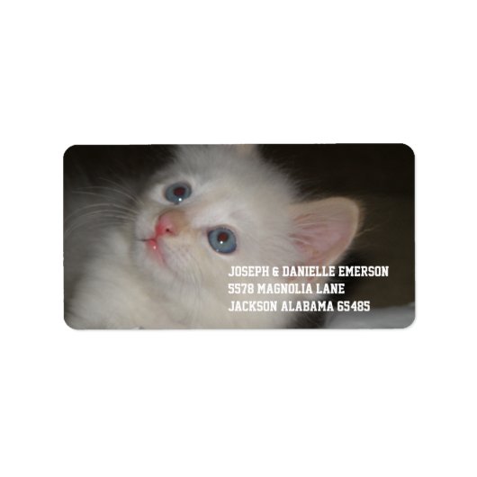 Precious Kitten Etiket (Voorkant)