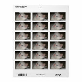 Precious Kitten Etiket (Full Sheet)