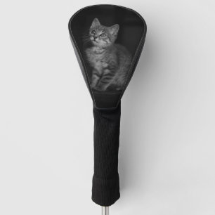 Precious Kitten Golfheadcover