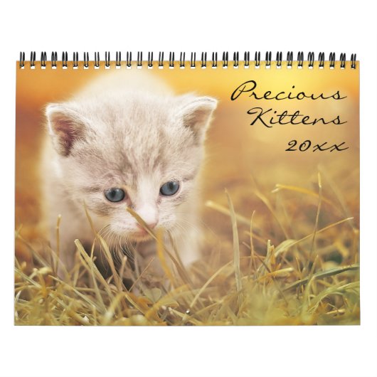 Precious Kittens Kalender (Hoes)
