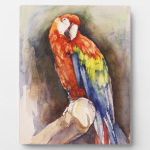 Precious Parrot Plaque Fotoplaat