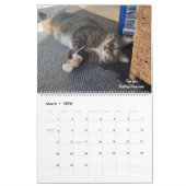 .Precious Paws 2025 Kalender. Kalender (Mar 2026)