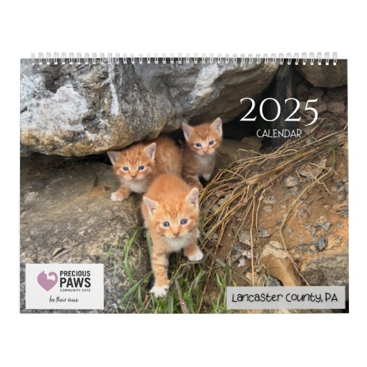 .Precious Paws 2025 Kalender. Kalender (Hoes)
