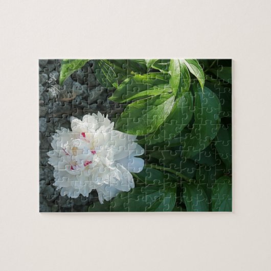 Precious Peony Puzzle Legpuzzel (Horizontaal)