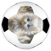 Precious White Kitten Voetbal (Gedraaid)