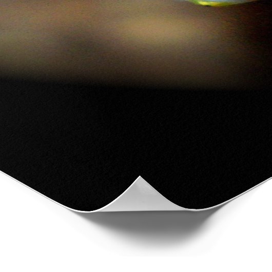 Precipice Poster (Hoek)