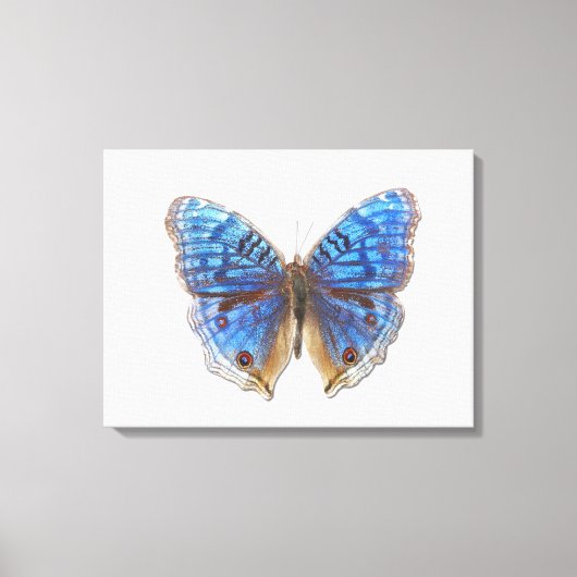 Precis rahadama canvas afdruk (Voorkant)