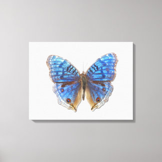 Precis rahadama canvas afdruk