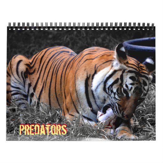 Predator Calendar Kalender (Hoes)