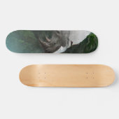 predator skateboard deck (Horz)