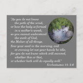 Prediker 11:5-6 Bijbelvers uit het hoofd leren Briefkaart (Voorkant)