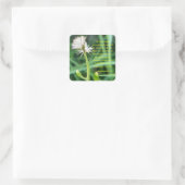 Prediker 3:11 sticker (Tas)