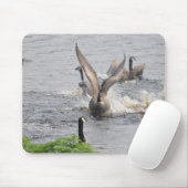 Preening Canada in ganzen en in het water levende Muismat (Met muis)