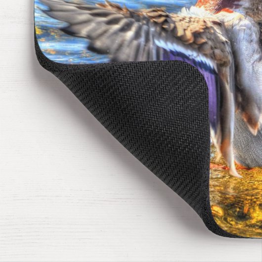 Preening Mallard Duck Birdlover Wildlife Muismat (Hoek)