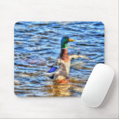 Preening Mallard Duck Birdlover Wildlife Muismat (Met muis)
