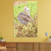 Preening Pelican Canvas Afdruk (Insitu (Woonkamer))
