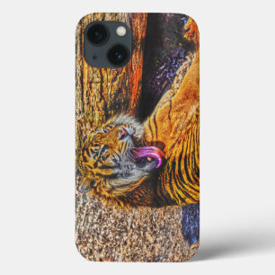 Preening Sumatran Tiger Big Cat Wildlife Art iPhone 13 Hoesje