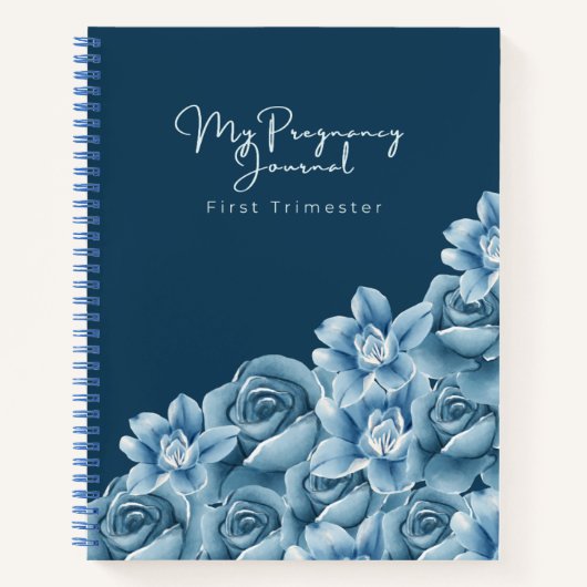 Pregnancy Journal | Faith-Filled First Trimester (Devant)