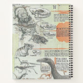 Prehistoric Notebook Notitieboek (Achterkant)