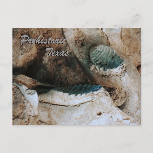 Prehistorisch Texas briefkaart (Voorkant)