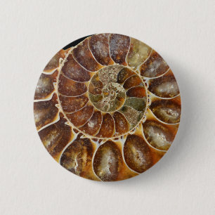 prehistorische fossiele slak schelp zwarte natuur ronde button 5,7 cm