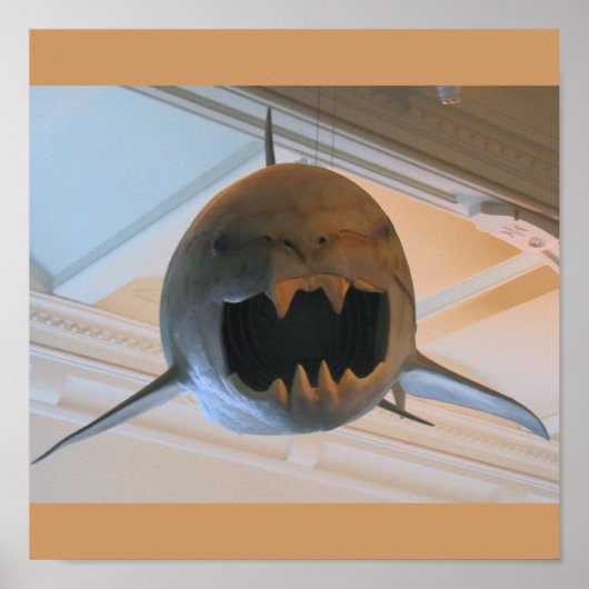 Prehistorische haai poster (Voorkant)