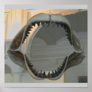 Prehistorische Jaws Poster