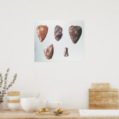 Prehistorische stenen gereedschappen, van Grotte d Poster (Keuken)