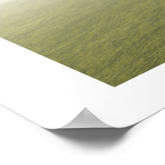 PREHISTORISCHE T-REX-AFDRUKKING POSTER (Hoek)