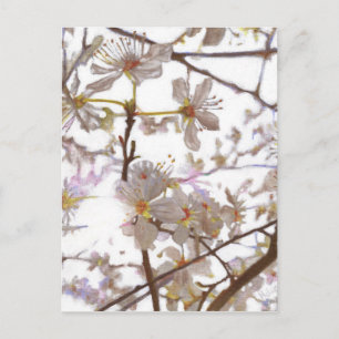 Prelude 2014 briefkaart