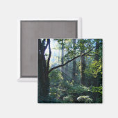 Premier aimant de lumière (Recto/Verso)