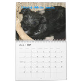 Premier calendrier 2009 du Schnauzer standard du (Mar 2027)