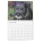Premier calendrier 2009 du Schnauzer standard du (Jan 2027)
