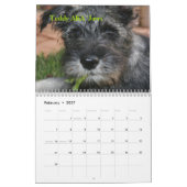 Premier calendrier 2009 du Schnauzer standard du (Feb 2027)
