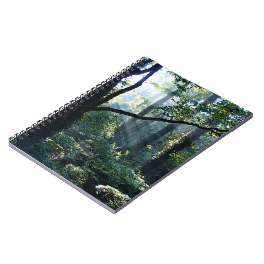 Premier Carnet lumineux (Côté gauche)