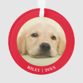 Premier Chien Chien Chien Chien Chien De Noël Phot (dos)