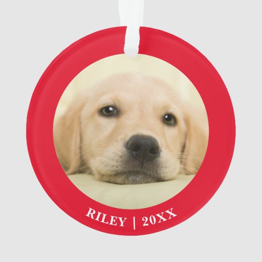 Premier Chien Chien Chien Chien Chien De Noël Phot (dos)