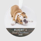 Premier chiot Noël mignon Russe Photo animal de co (devant)