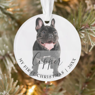 Premier Noël Animal de compagnie 2 Nom du script d