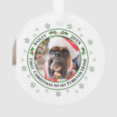 Premier Noël Dans Mon Ancien Foyer Animaux De Comp (dos)