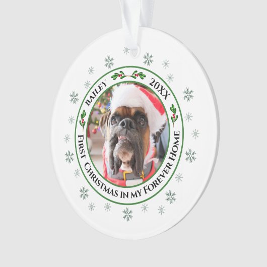 Premier Noël Dans Mon Ancien Foyer Animaux De Comp (devant)