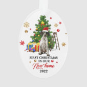 Premier Noël dans notre nouvelle maison 2022 | Cad (dos)