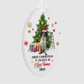 Premier Noël dans notre nouvelle maison 2022 | Cad (devant)