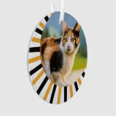 Premier Noël de chat calico (devant)