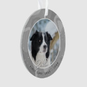 Premier Noël de chiot Border Collie Photo (devant)