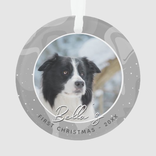 Premier Noël de chiot Border Collie Photo (dos)
