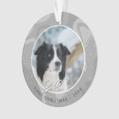 Premier Noël de chiot Border Collie Photo (devant)