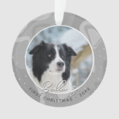 Premier Noël de chiot Border Collie Photo (devant)