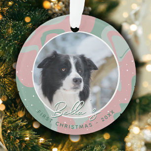 Premier Noël de chiot Border Collie Photo